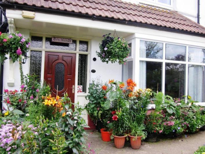 Beechlands B & B Sleights Экстерьер фото